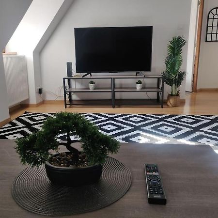 Tres Bel Appart Charmant 85M2 Parking Gratuit Molsheim Extérieur photo