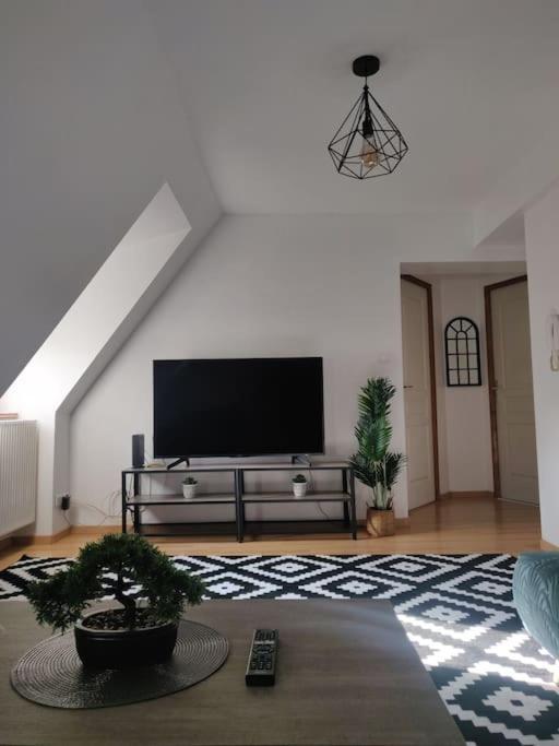 Tres Bel Appart Charmant 85M2 Parking Gratuit Molsheim Extérieur photo
